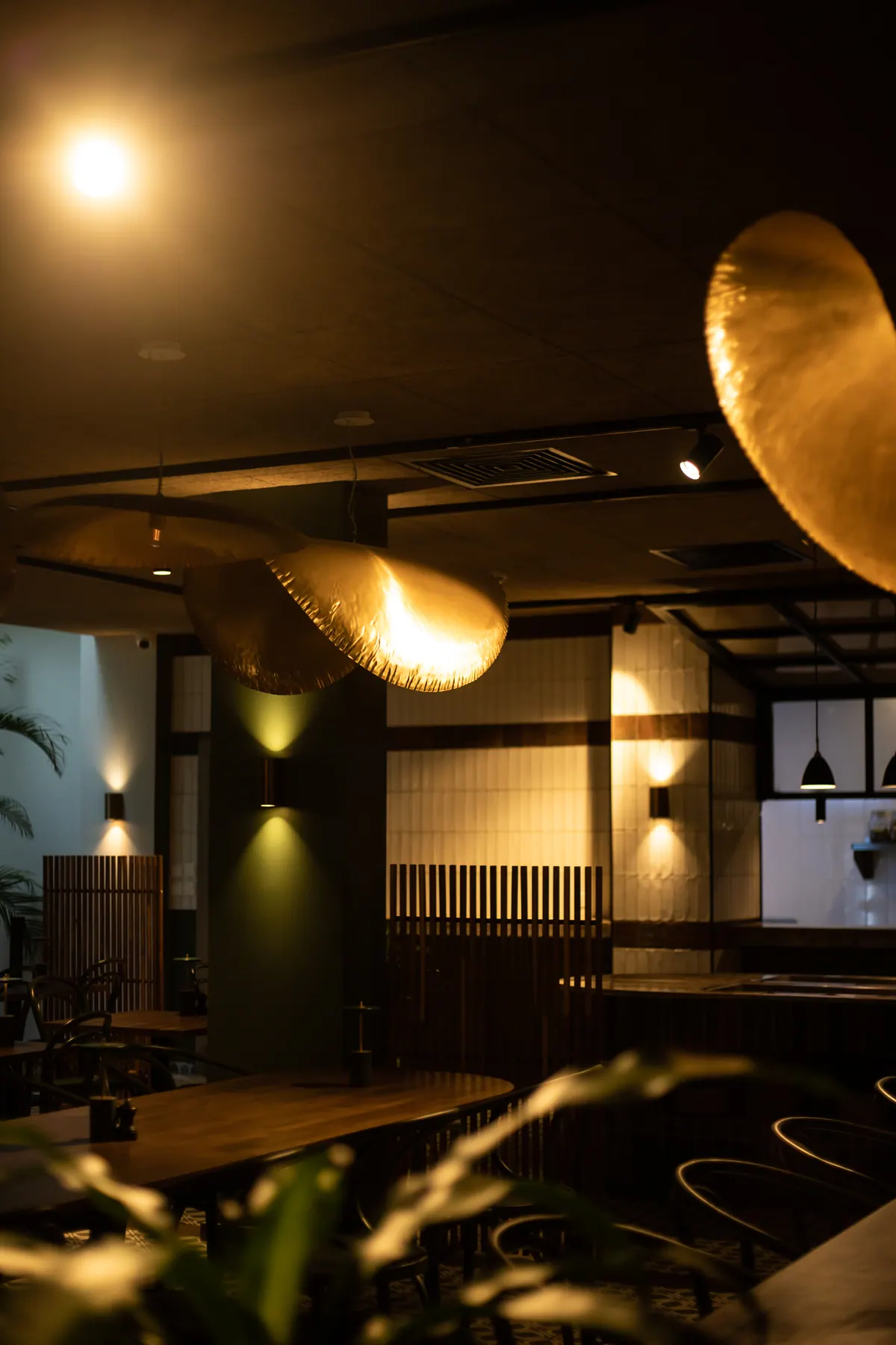 Warm sculptural lighting inside TARO Bistro and Bar